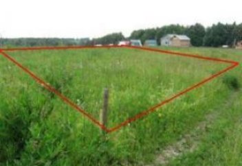 10 соток каждому казахстанцу: почему не выделяют землю? Что нужно знать о земельной реформе?