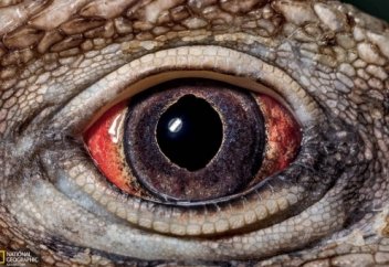 Қараңғы әлемнің жарық нұры