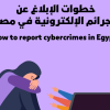Египет усиливает борьбу с онлайн-домогательствами в отношении женщин