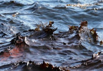 Аса ірі апат: 300 тонна мұнай төгілді (Видео)