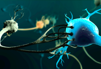 Ғалымдар Альцгеймер ауруының жаңа, ықтимал себебін ашты