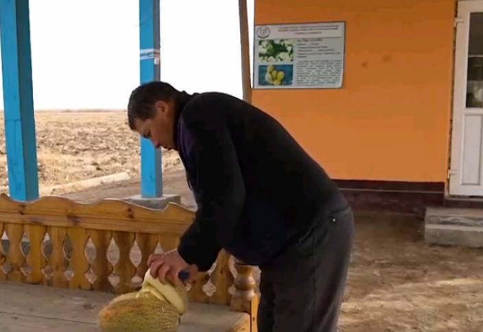 Узбеки показали древний способ, позволяющий хранить дыни больше полугода (видео)