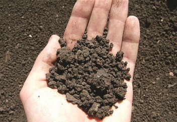 Ақиқат жаршысының (ﷺ) тағы бір хадисінің растығы ғылыми тұрғыдан дәлелденді