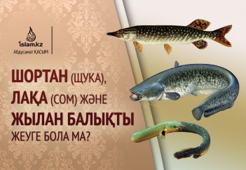 Шортан (щука), лақа (сом) және жылан балықты жеуге бола ма?