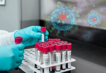 Найдено блокирующее проникновение коронавируса в организм вещество