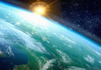 тайны жизни слонов