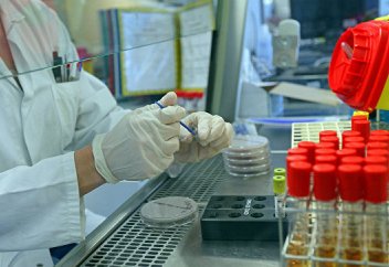 Российские ученые выяснили, что может остановить рост самого опасного рака