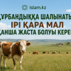 Құрбандыққа шалынатын ірі қара мал қанша жаста болуы керек?