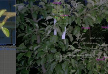 Бір сағатта жарты миллион арамшөпті жояды... (видео)