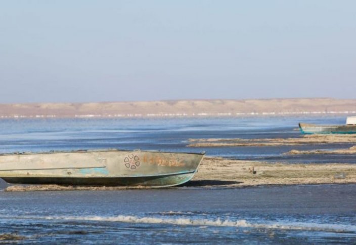 Кіші Аралды бес жылда жоғалтып алуымыз мүмкін