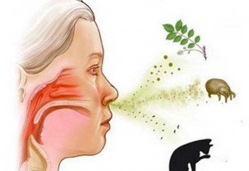 Аллергияның пайда болу себептері