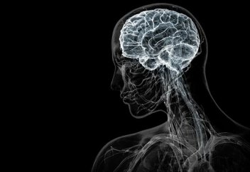 АДАМ ДЕНЕСІ НЕШЕ ЖЫЛДЫҢ ІШІНДЕ ТОЛЫҚ ЖАҢАРАДЫ?