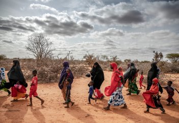 Десяткам тысяч людей в Сомали грозит смерть из-за засухи, вызванной изменением климата