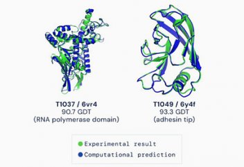 Биологиядағы ең қиын проблема шешімін тапты