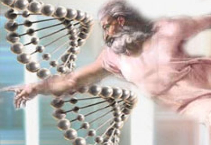 Терпеливые люди живут дольше