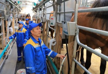 Карагандинский саумал планируют поставлять в ОАЭ