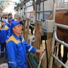 Карагандинский саумал планируют поставлять в ОАЭ