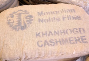 Моңғол кашемирі алғаш рет құрлық арқылы экспорттала бастады