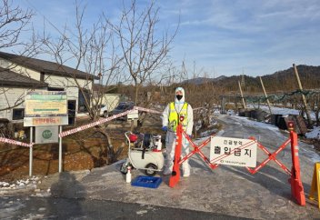 Африканская чума свиней распространяется на ранее безопасные зоны, угрожая всей стране. Европа под угрозой: быстрое распространение смертельной чумы свиней