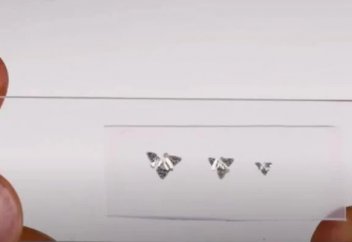 Ұшатын микрочип жасалды (видео)