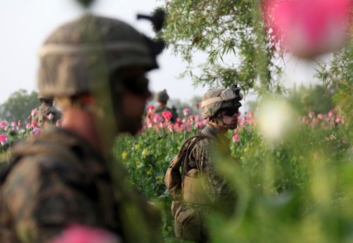 Куда ведёт афганский наркотрафик?