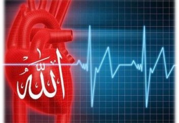 Ева Рогаар: В России русские принимают ислам из интеллектуальной среды (интервью)