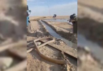 АРАЛ ТЕҢІЗІНІҢ ТҮБІНЕН СУ ТАБЫЛДЫ