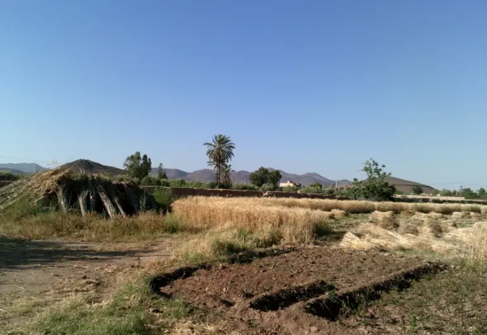 Исследователи из Марокко и Великобритании разработали новый инструмент для управления полузасушливыми землями в Марокко