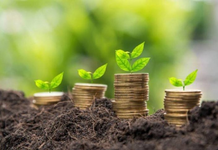 Катар инвестирует в строительство молокозавода в Алматинской области