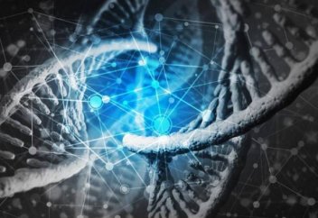 Әлемдегі ең дімкәс ұлт белгілі болды