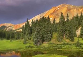 Қылқан жапырақты өсімдіктердің қыста да жасыл өңінен айнымауының сыры ашылды