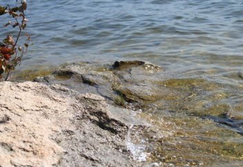 40% поливной воды теряется при транспортировке – Минэкологии