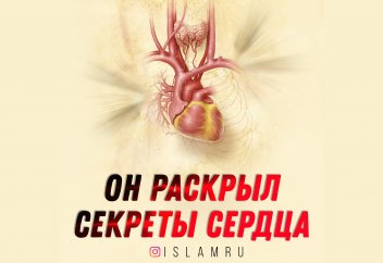 Средневековый учёный, раскрывший секреты сердца
