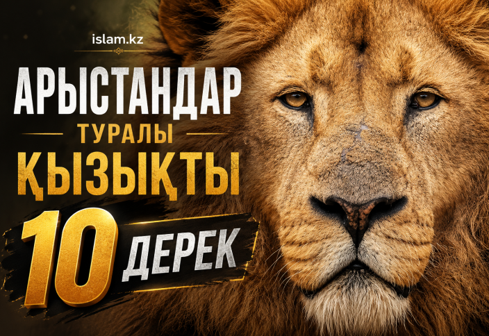 Арыстандар туралы қызықты 10 дерек