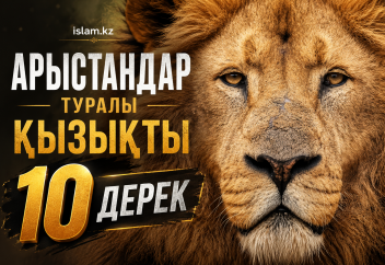 Арыстандар туралы қызықты 10 дерек