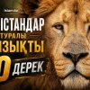 Арыстандар туралы қызықты 10 дерек