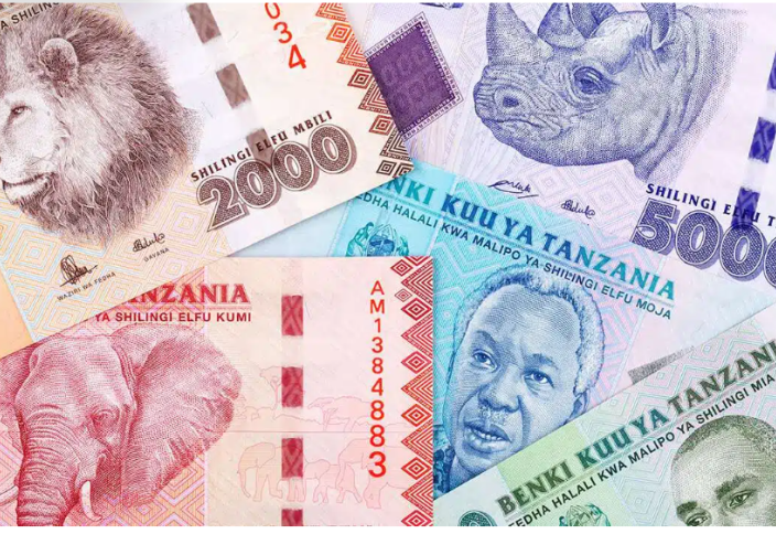 Африкалық ел құнсызданған ұлттық валютасын көтеру үшін қатаң шектеу шараларын қолға алып жатыр