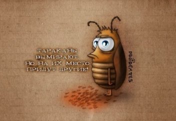 Қайдасың ракты емдегіш "бауырым?"