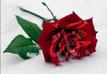 Мухаммадул Әмин