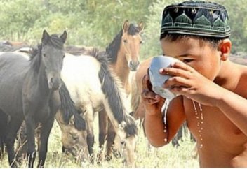 Қымызмұрындық – далалық сауынашар