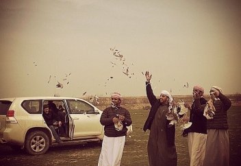 Бай араб туристері жабайы әдеттерімен жергілікті халықты шошытты (фото+видео)