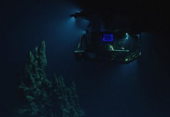 Әлемдегі ең терең шұңғымада өмір сүретін балықтарды таспаға тартып алды (видео)