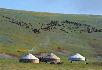 Зекеттен келген мал-мүлік "ДАЙЫН АСҚА ТІК ҚАСЫҚ ПА" ?!