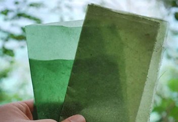 Студент балдырдан биоқаптама жасаудың жолын тапты