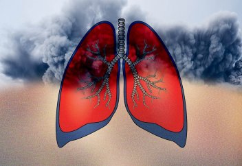 Адам өкпесінен алғаш рет микропластик табылды