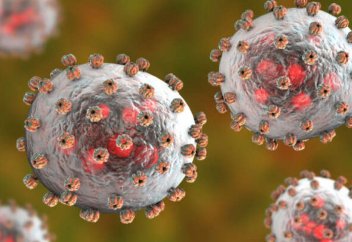 Жаңа вирус адамнан адамға тікелей жұғатын болып шықты – Чапаре вирусы туралы