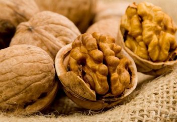 Новое исследование подтверждает пользу грецких орехов для пожилых людей