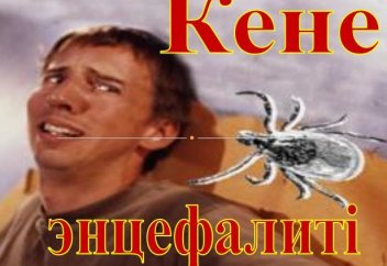 Еуропалық елде кене инфекциясы эпидемияға теңестіріледі