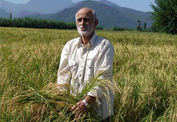 Парсылардың әлемдік азық-түлік қауіпсіздігіндегі орны айтылды