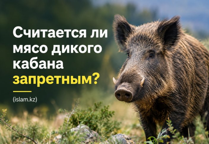 Считается ли мясо дикого кабана запретным?